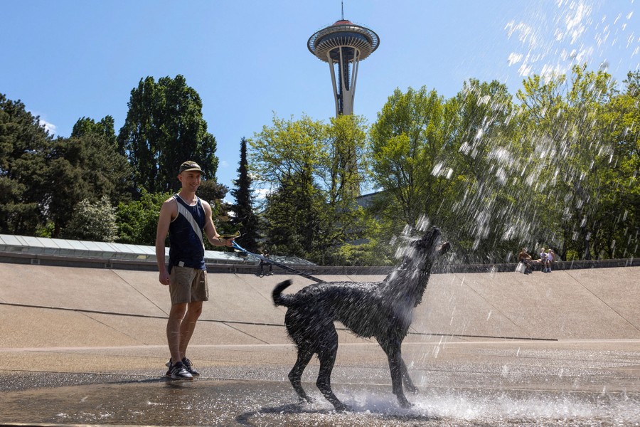 A man and his dog play in a fountain beneath the Space Needle.