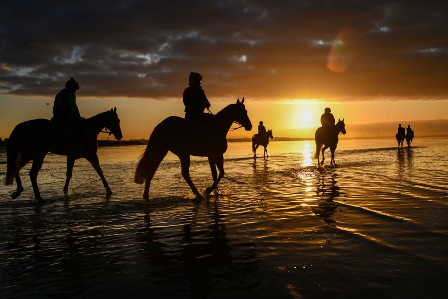 Horses walk through shallow water on a beach, silhouetted by the sun.