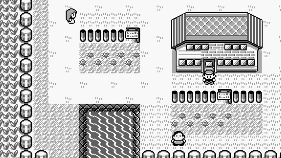 Pokemon Red in COLOR!   - The Independent Video Game  Community