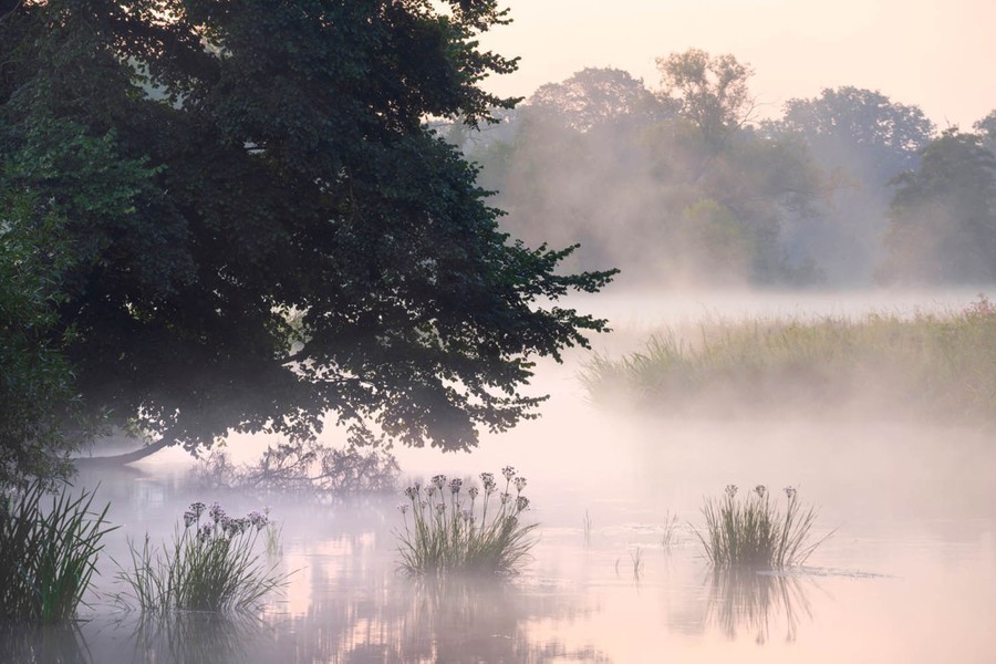 Light fog lingers over a lush river landscape.