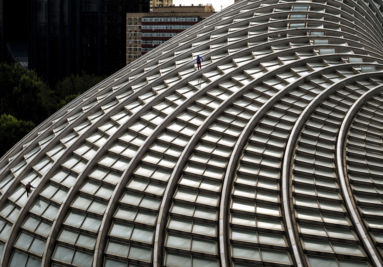 A worker cleans windows on a modern building with a curved roof and supports.