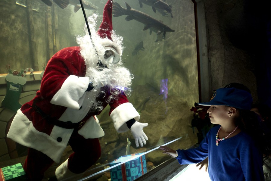A diver dressed as Santa Claus inside a fish tank puts his hand on the glass near a young visitor who moves their hand toward it.