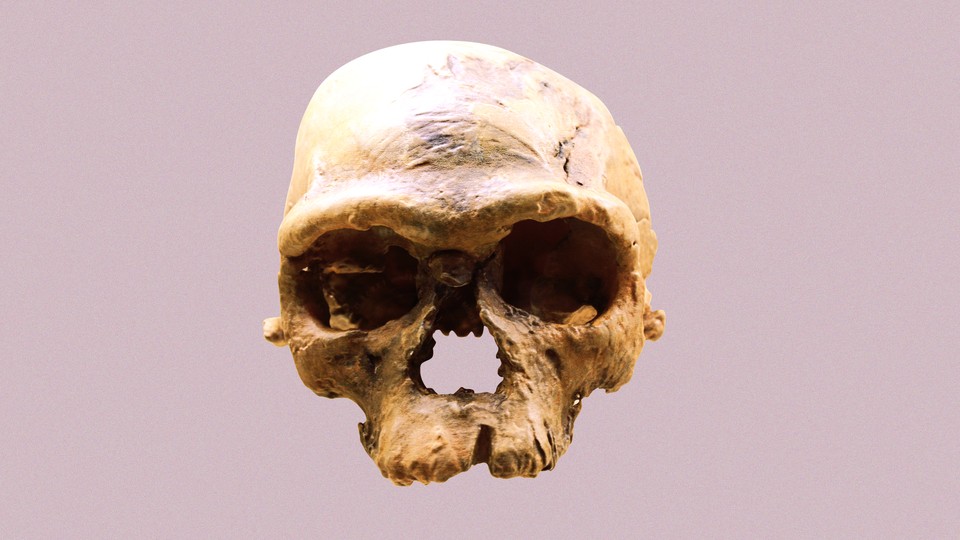 An ancient human skull from Jebel Irhoud