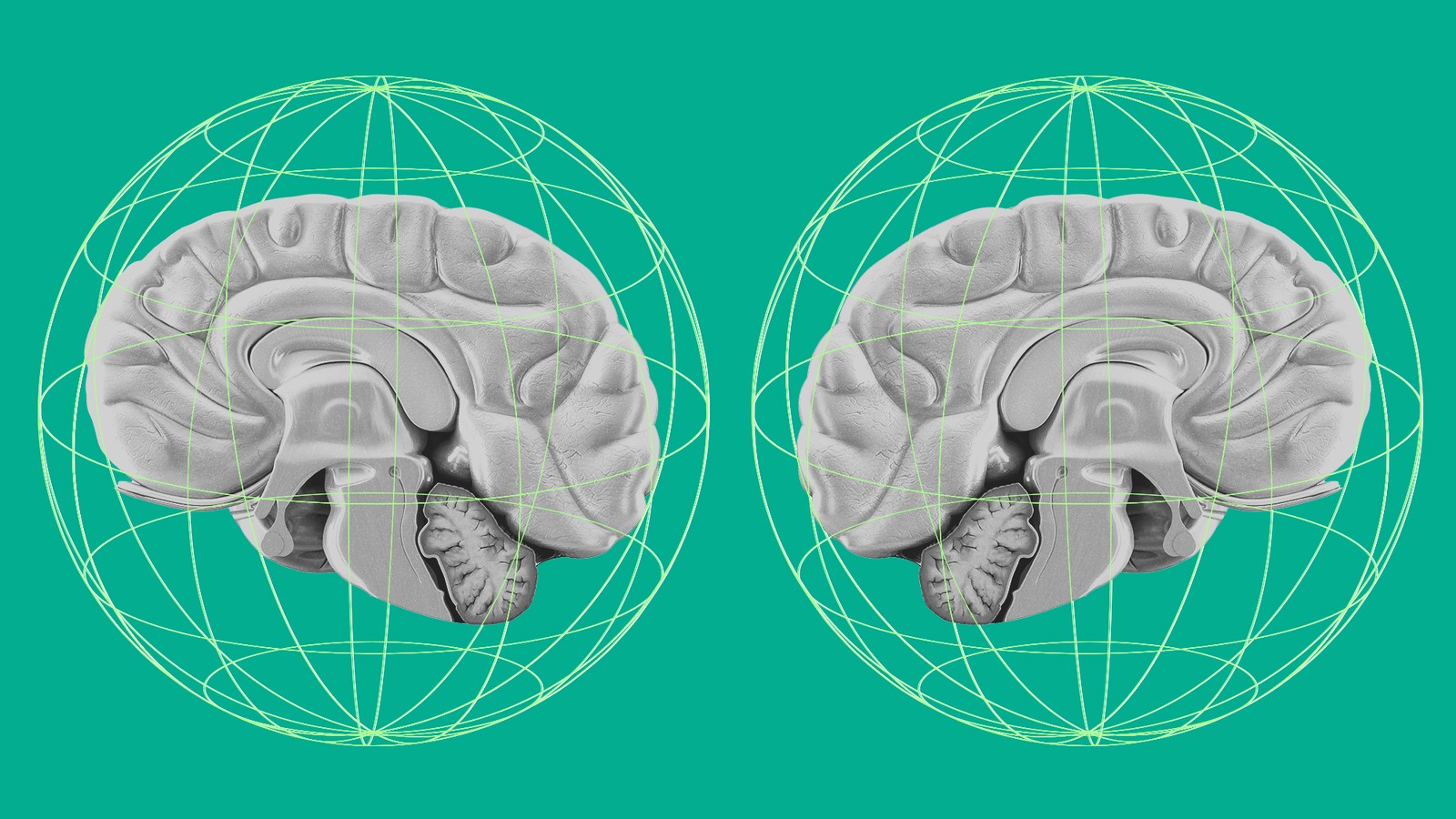 Study finds mind-body connection built into brain - The Week