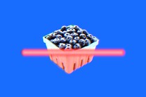blueberries being scanned