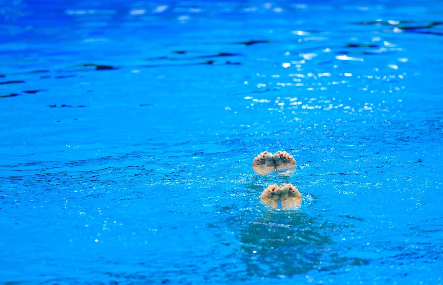 The 2019 ArtisticSwimming World Championships in Photos The Atlantic