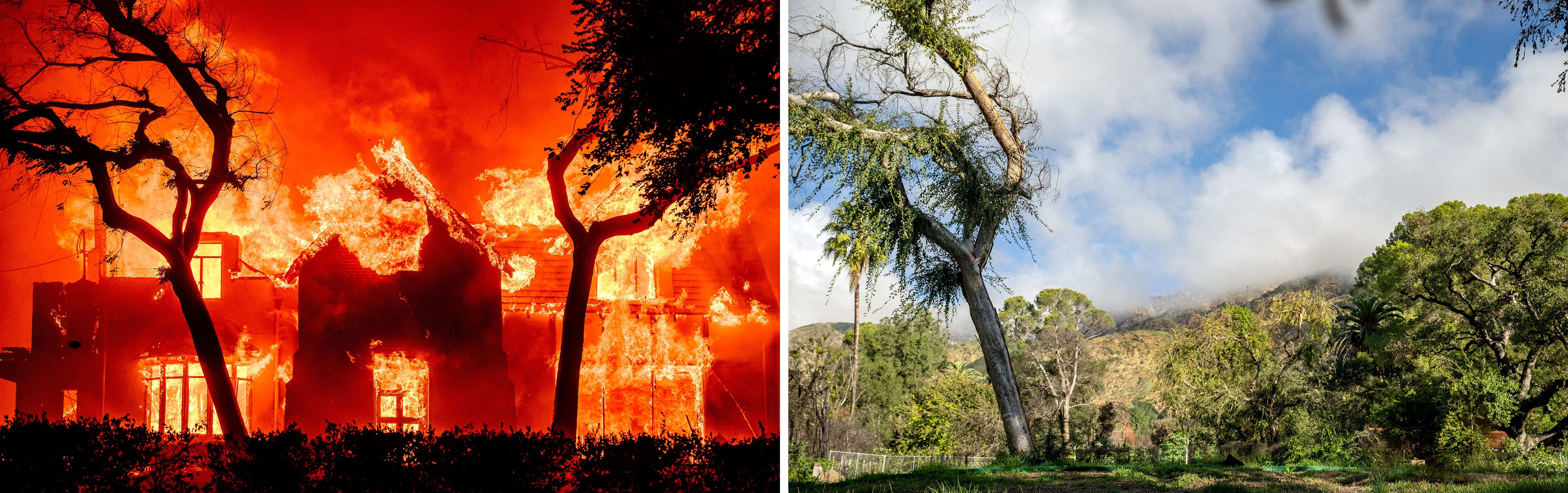 A pair of photographs, on the left a house goes up in flames, and on the right the same scene one year later with damaged trees, regrowing