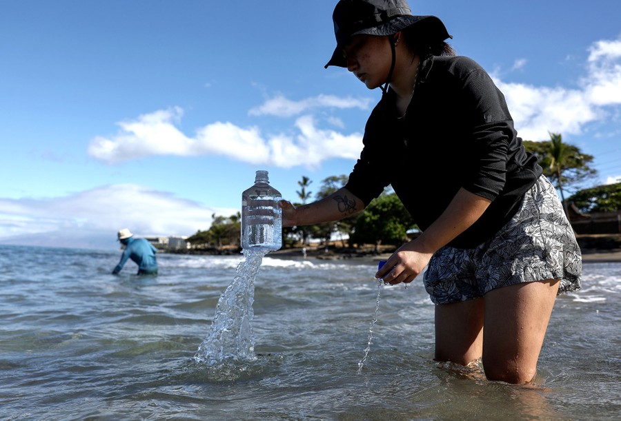 Two people stand in shallow ocean water, near a beach, collecting samples of the water.