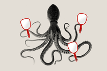 An illustration of an octopus holding a few red-framed mirrors in its arms
