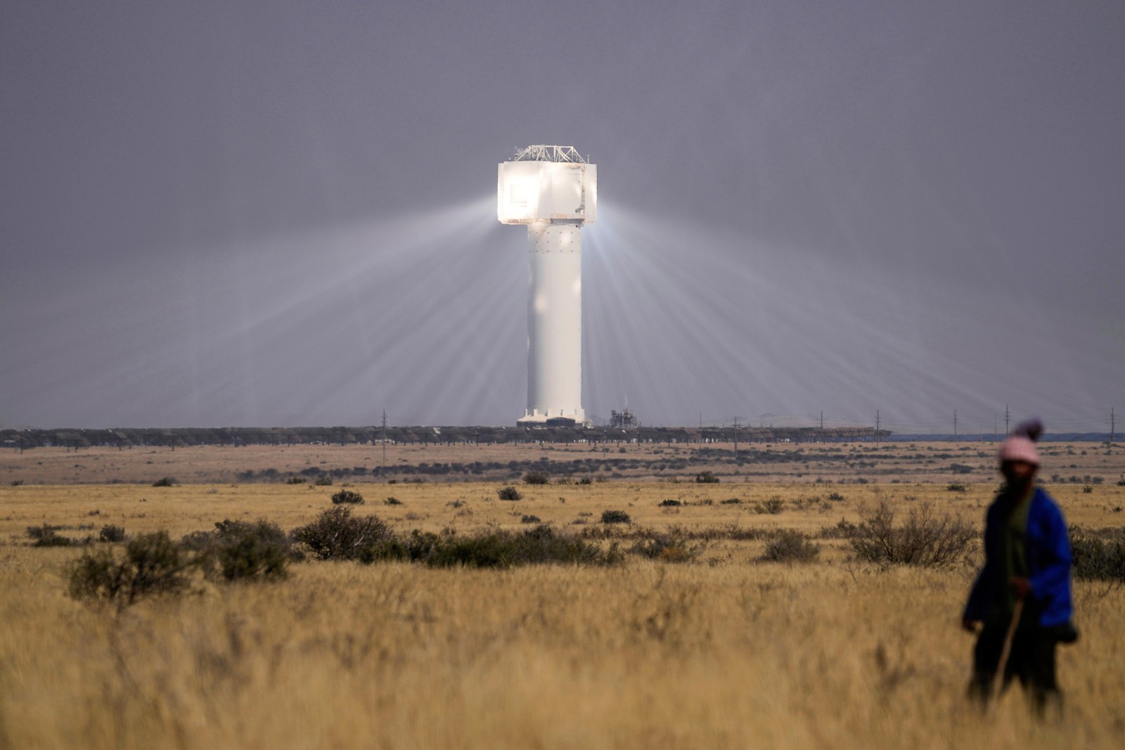 A shepherd walks through a field, with the tall tower of a solar plant in the background, with many reflected rays of sunlight seen pointing towards its top.