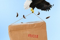 Photo illustration of an eagle struggling to carry a large brown box in its claws