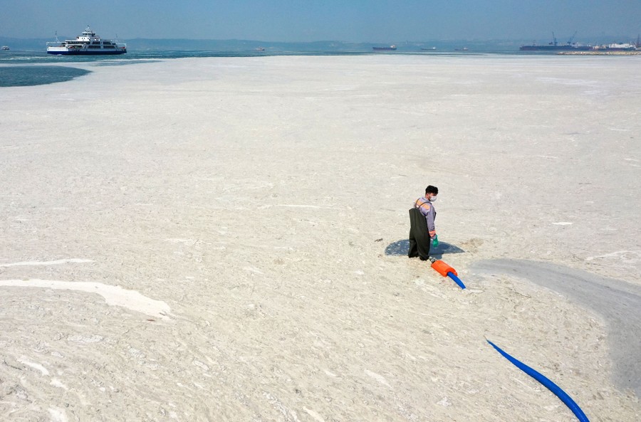 A worker vacuums mucilage from the sea's surface.