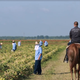 A person wearing a shirt that says "correctional officer" on the back rides a horse through a field where people in blue uniforms are working.