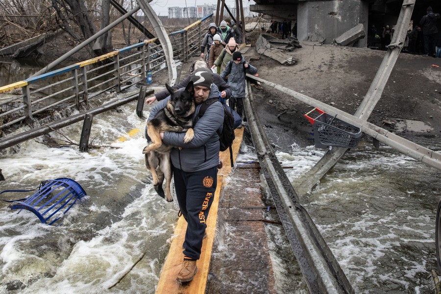 A man carries a medium-sized dog across a river, walking on a wide plank through rubble.