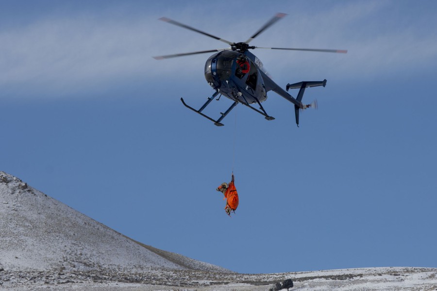 A bighorn ram, wrapped in an orange sling, hangs beneath a helicopter.