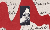 A cropped image of hands holding a flower with red wavy graphic and text behind.