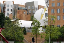 A woman walks through the MIT campus