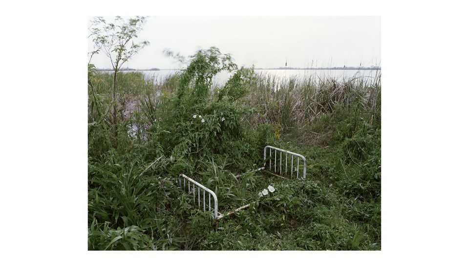 a broken down bed frame in a patch of tall grass by the water