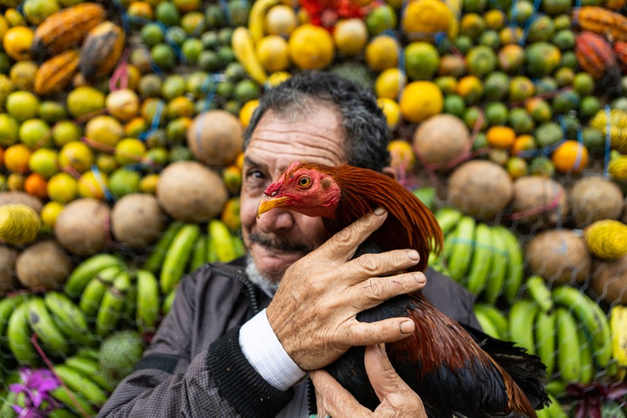 A man holds a chicken in front of his face while standing in front of a large arrangement of fruit.