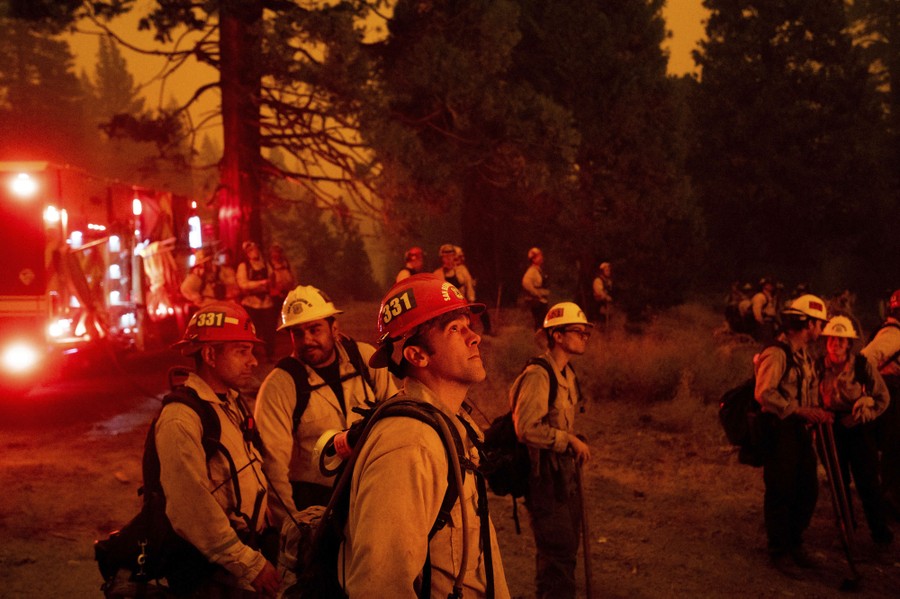 Firefighters gather together near a road while fighting a forest fire.