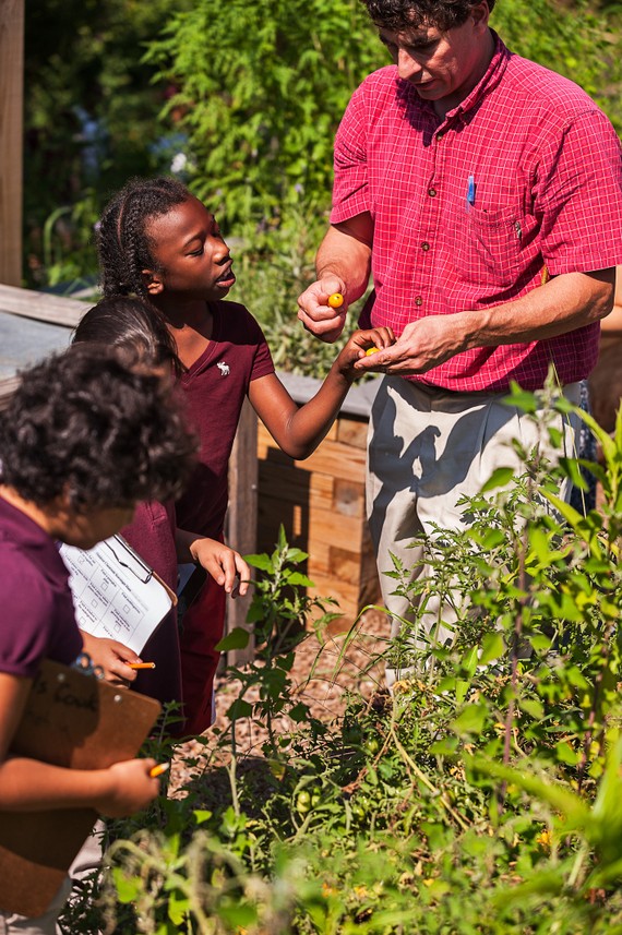 essay on nature as a teacher