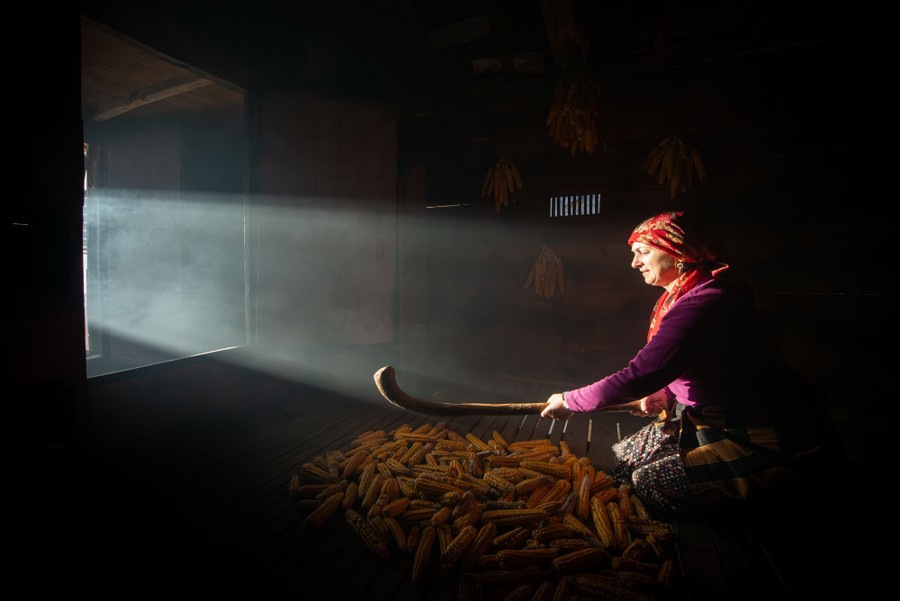 A person works in a dark room, tending to cobs of corn.