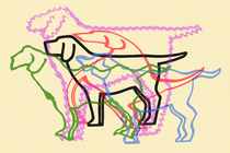 An illustration of various dog silhouettes