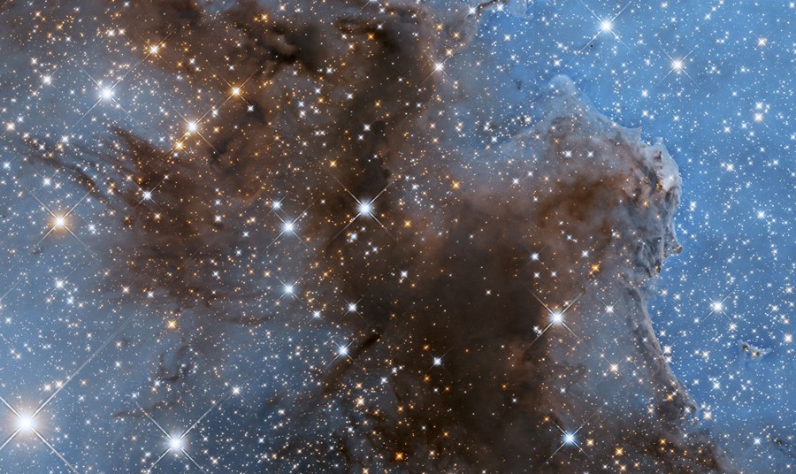 Clouds of gas and dust float among many glittering stars.