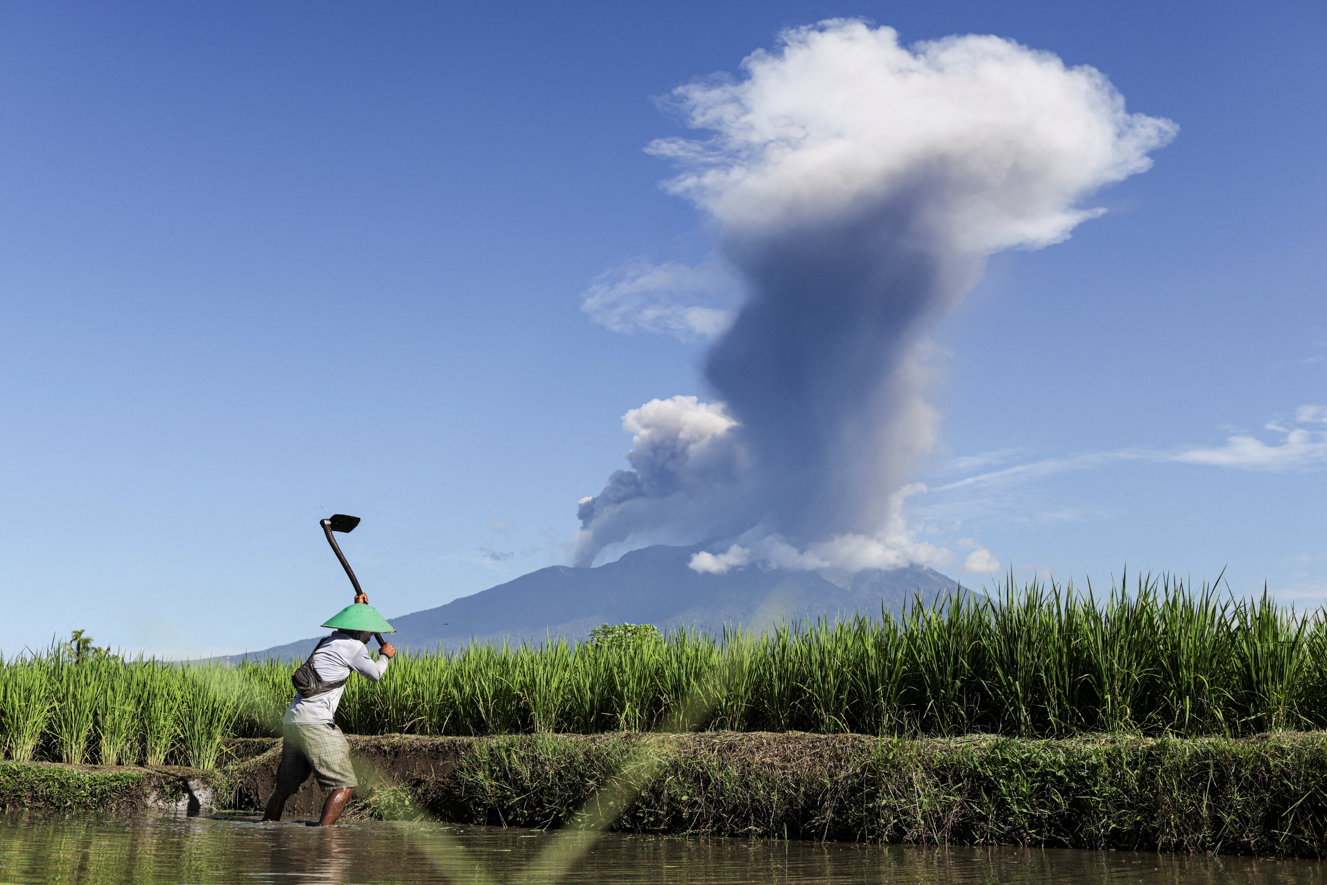 A farmer works in a paddy field as a volcano in the background spews volcanic ash.
