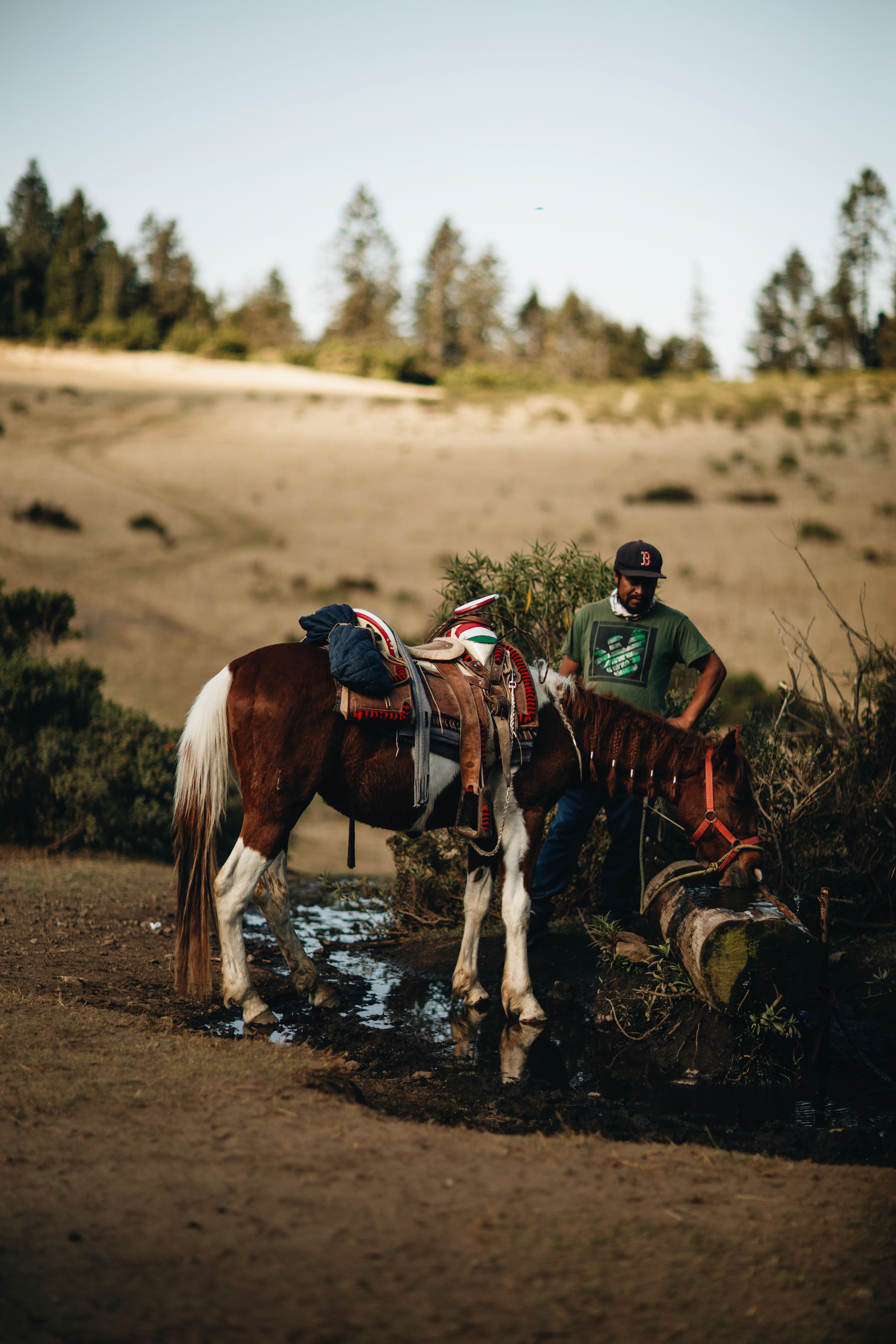an image of a man in a green shirt standing next to a brown and white horse drinking water