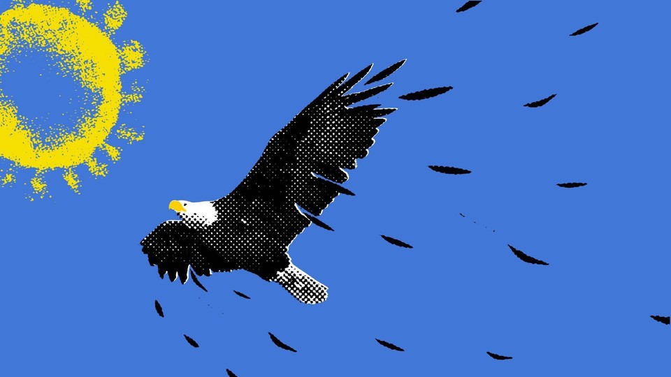 An illustration of an eagle shedding feathers soars towards the sun.
