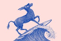 A surfing donkey