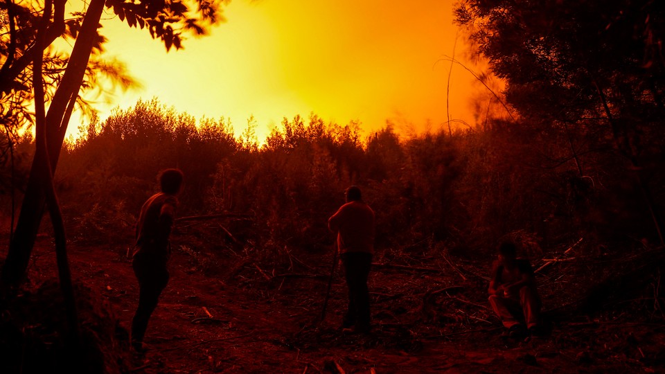 Three people stand outdoors in dim lighting as an orange glow from a forest fire fills the sky above a hedge of trees.