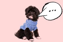 A dog with a speech bubble coming out of its mouth.