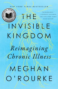 The cover of The Invisible Kingdom