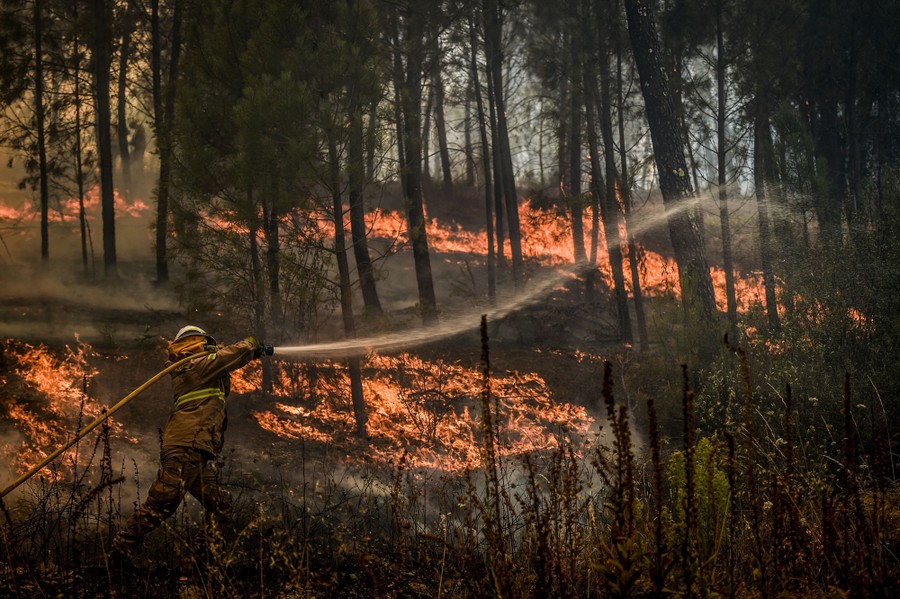 Wildfires Rage in Central Portugal Photos The Atlantic