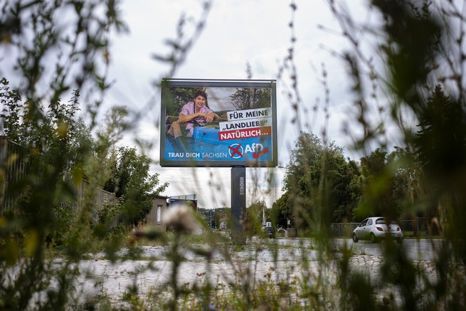 A sign for the AfD in Saxony reads "For My Country."