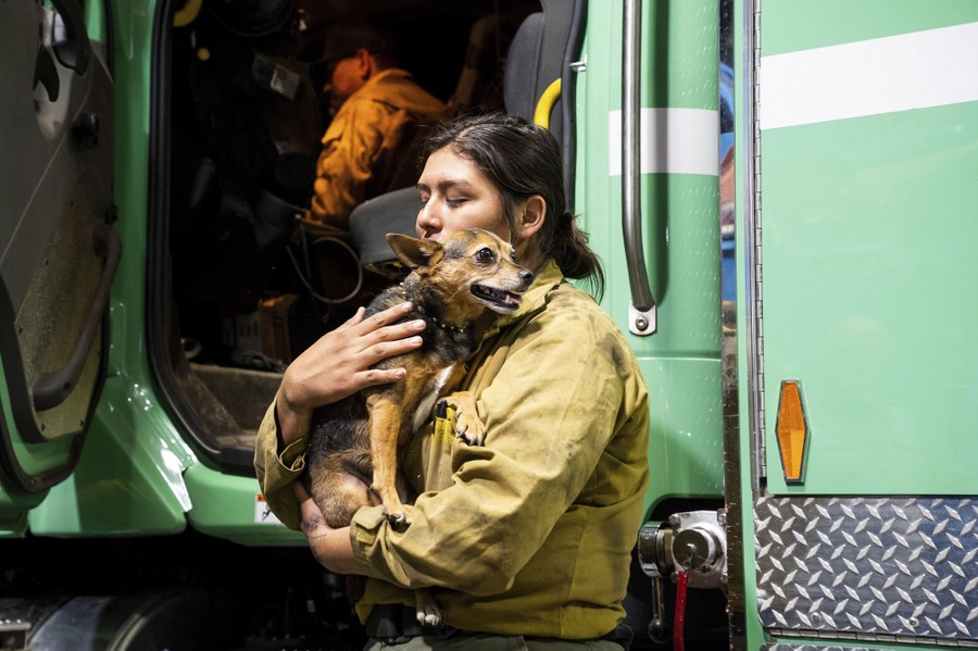 A firefighter holds a small dog near a truck.
