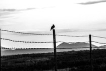 An image of barbed wire with mountains in the background.