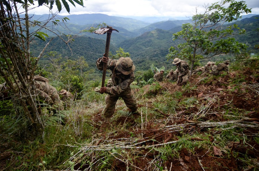 A soldier destroys illegal plants on a hillside.