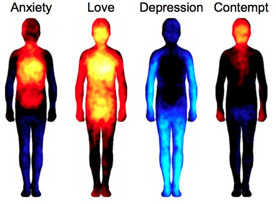 Mapping How Emotions Manifest In The Body The Atlantic