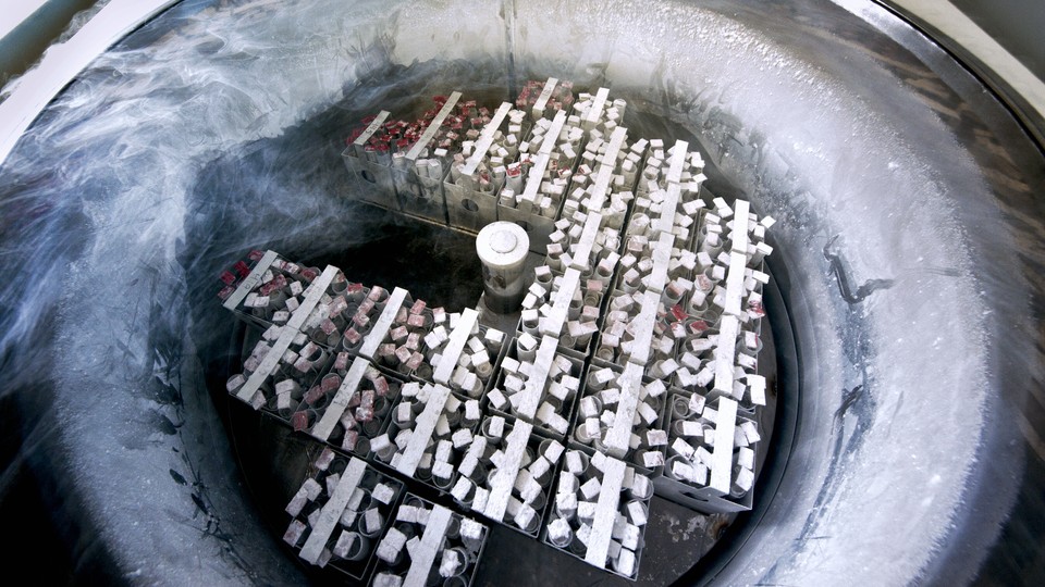 Frozen embryos and eggs in nitrogen cooled container.