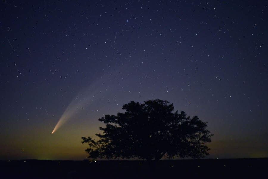 A comet in the night sky, beyond the silhouette of a tree