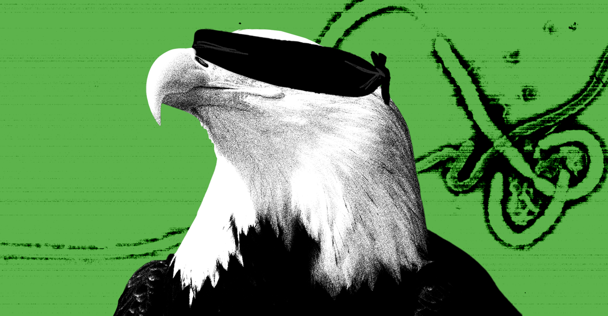 https://cdn.theatlantic.com/thumbor/NnG62WNU2xTC-E8Irr5Qm5SxHII=/0x83:2000x1125/1200x625/media/img/mt/2025/08/2025_08_04_Finer_Ebola_outbreak_final_1/original.png