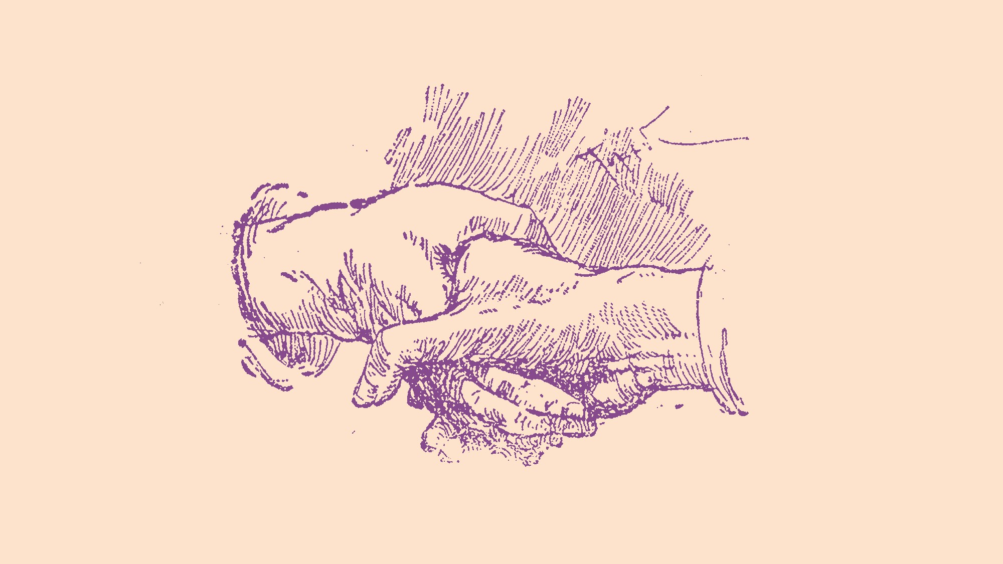 Will Americans Ever Lose Their Grip on the Handshake?
