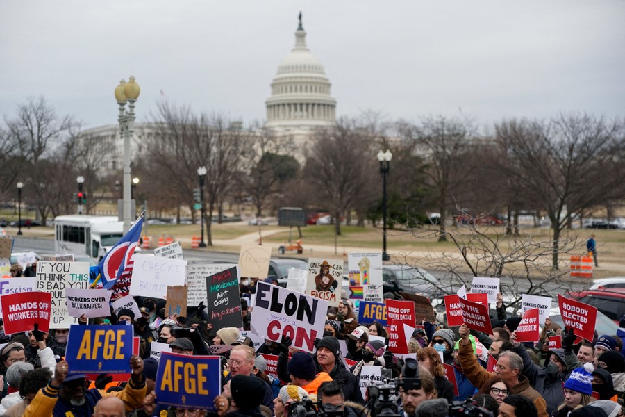 A crowd of protesters hold signs along the National Mall in Washington, D.C. Two of the messages on the signs read "Elon, you're a con," and "Only you can stop fascism."
