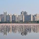 tons of pink flamingoes in front of Mumbai