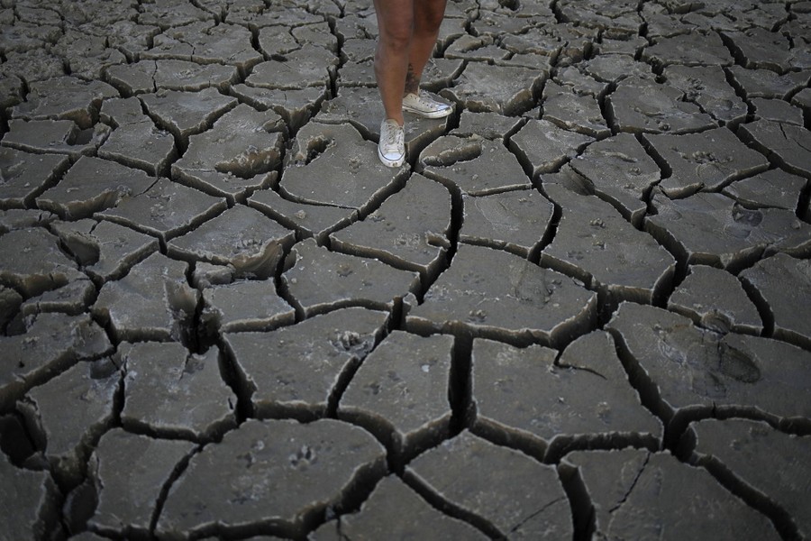 A person is seen standing on dry, cracked earth.