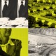 collage of men with hands folded, suburban homes, woman speaking at microphone, and mining area