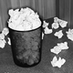 black and white photo of a trash bin filled with and surrounded by crumpled up wads of paper